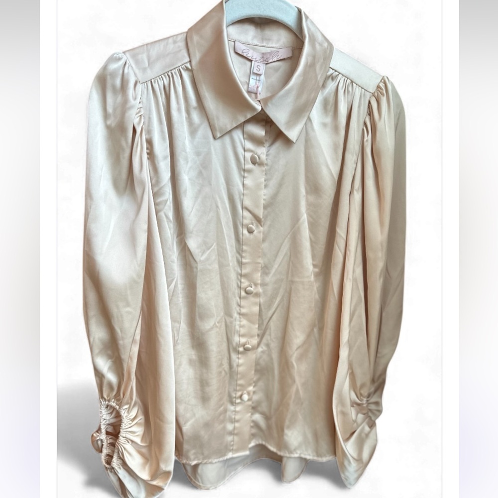 NWT Satin Blouse from Hutch in Champagne S